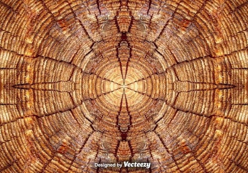 Realistic Tree Rings Close Up Background vector