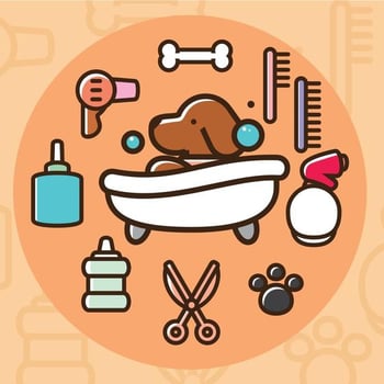 Dog Wash Vector Icons
