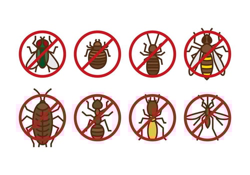 Pest Control Vector