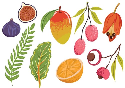 Free Exotic Fruit Leaves Vectors