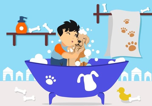 Free Boy Washing His Dog Vector 