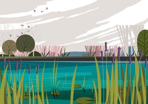 Peaceful Morning Swamp vector
