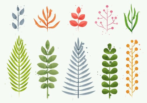 Floral Watercolor Plant Vectors