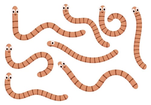 Earthworm Vector 5