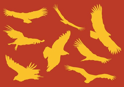 Free Condor Icons Vector