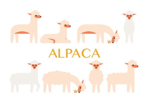 Alpaca vector icons