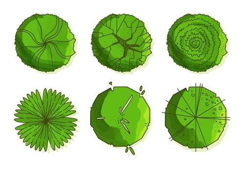 Tree Tops Vectors