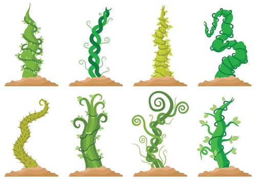 Free Beanstalk Icons Vector