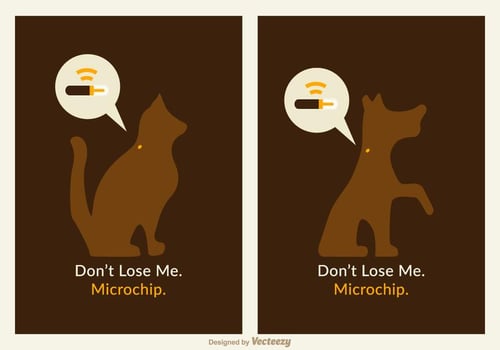 Free Pets Microchip Vector Poster