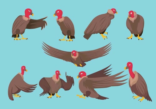 Condor Vector