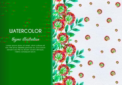 Free Vector Hand Drawn Watercolor Thyme With Flowers And Leaves