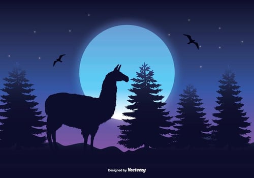Landscape Scene with Llama Silhouette vector