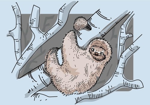 Free Sloth Vector Illustration