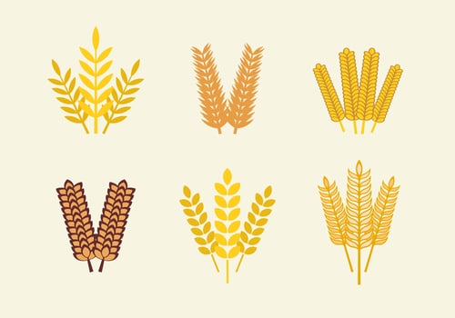 Oats vector pack