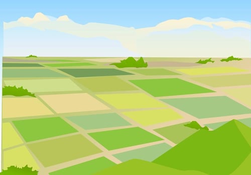 Vector Illustration of Rice field Landscape