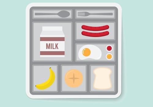 School Lunch vector
