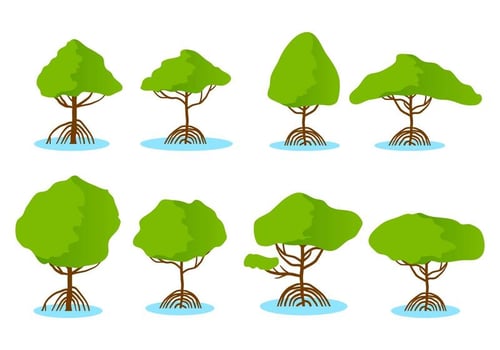 Free Mangrove Vector