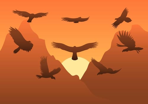 Free Condor Vector