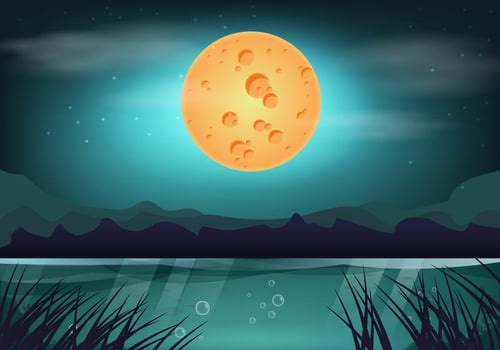 Beauty Moon Night Swamp vector