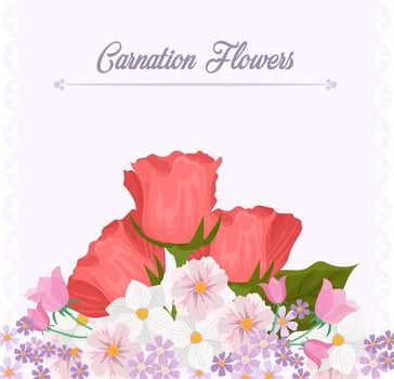 Carnation Flower Background Template vector