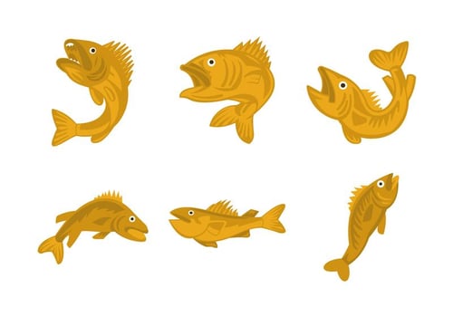 Walleye vector illustration