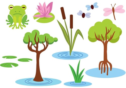 Free Swamp Vectors