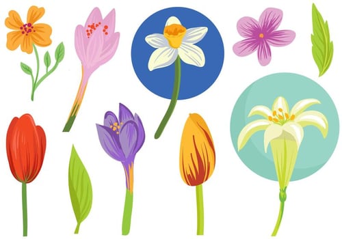 Free Spring Flowers Vectors