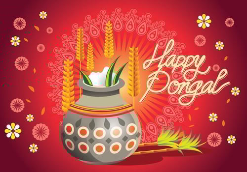 Vector Illustration of Happy Pongal Greeting Background