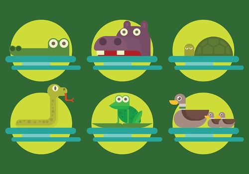 Free Swamp Animals Icons Vector
