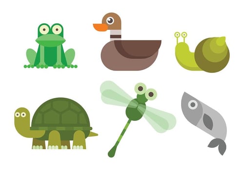 Free Swamp Animals Vector