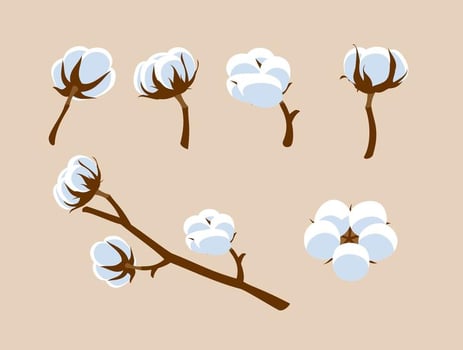 Cotton Flower Free Vector