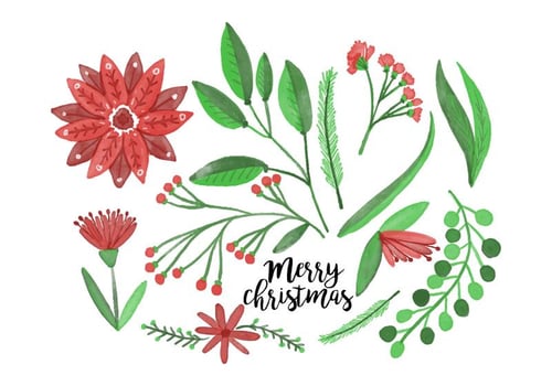 Free Christmas Flowers vector