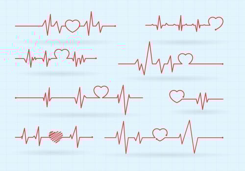 Heart Rate Vector