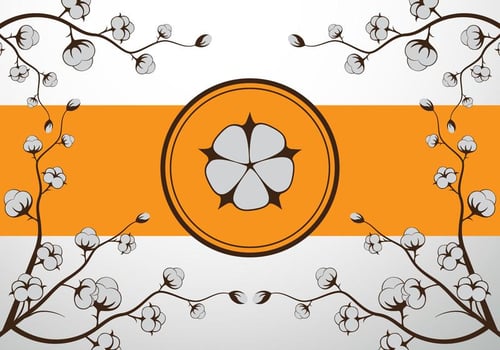 Cotton flower vector illustration