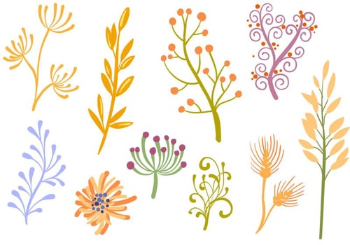 Free Floral Ornaments Vectors