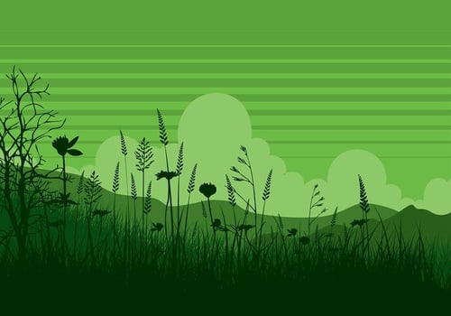 Sea Oats Green Free Vector