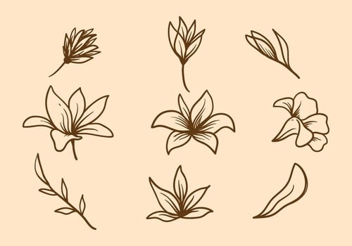 Easter Lily Vector