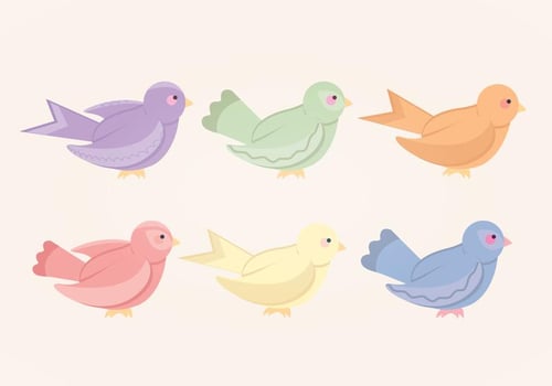Vector Colourful Bird Collection