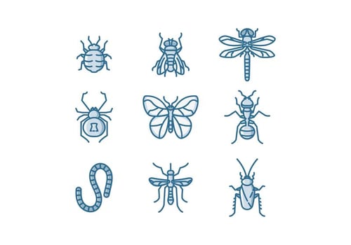 Free Insects Vector
