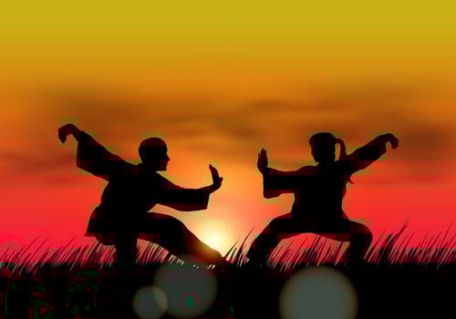 Couple Doing Wushu At Sunset vector