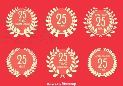 Nice Anniversary Vector Set