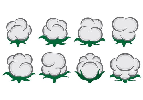 Vector Of Cotton Flowers