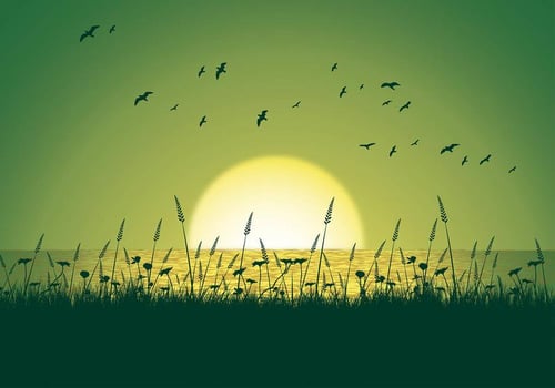 Sea Oats Background Free Vector