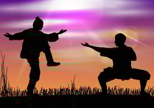 Man Doing Wushu In Silhouette vector