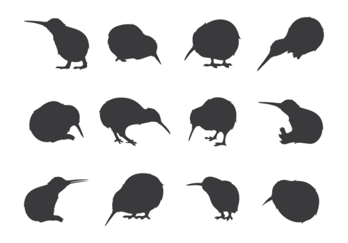 Kiwi Bird Silhouettes  vector