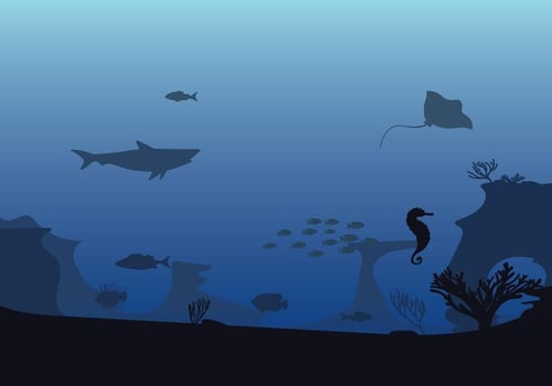 Free Seabed Illustration vector