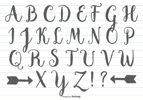 Hand Drawn Calligraphic Alphabet vector