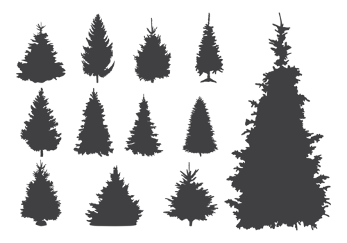 Sapin Silhouettes Vector