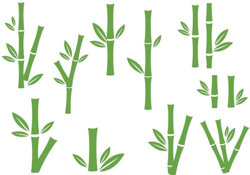 Free Bamboo Vectors