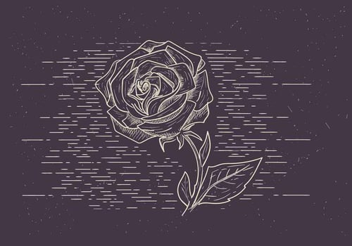 Free Vector Flower Illustration